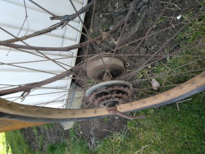 IMG_20200406_162249.jpg