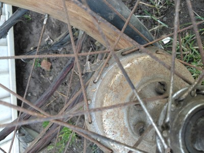 IMG_20200406_162306.jpg