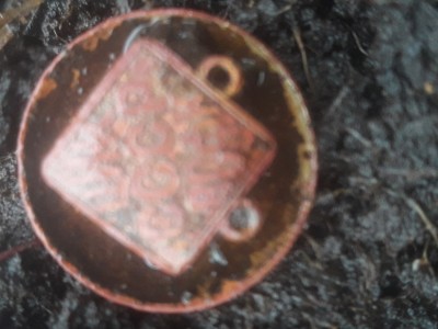20200409_151525.jpg