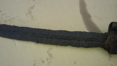 20200413_114446.jpg