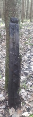 20200416_212935.jpg