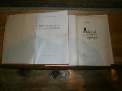 P4290037.JPG