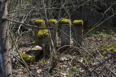 DSC_0551.JPG