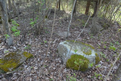 DSC_0553.JPG