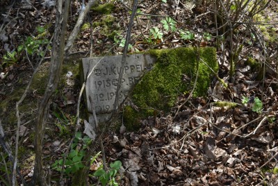 DSC_0555.JPG