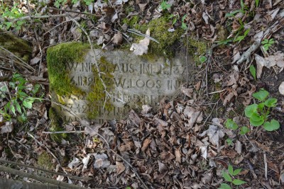 DSC_0556.JPG