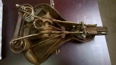 WP_20200512_050.jpg