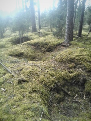 Fotoattēls0011.jpg