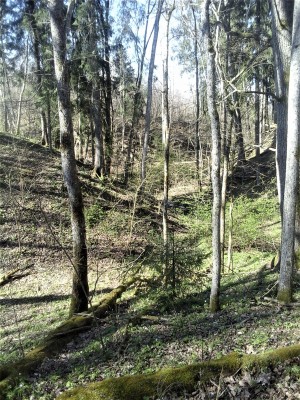 Fotoattēls0012.jpg