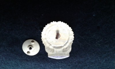 20200519_111848.jpg