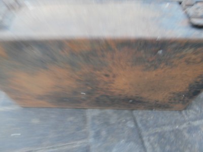 P1010275.JPG