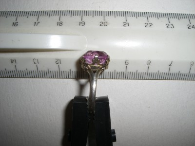 CIMG3383.JPG