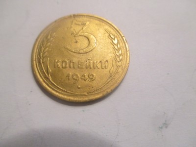 file8.jpg