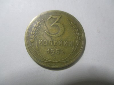 file8.jpg