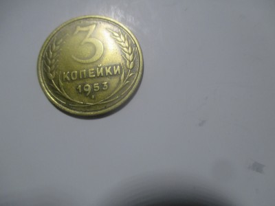 file8.jpg