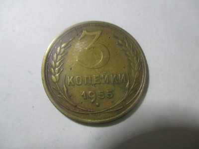 file7 (2).jpg