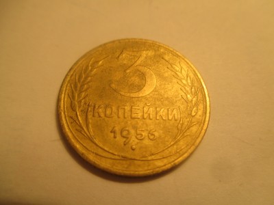 file8.jpg