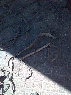 IMG_20200602_111856.jpg