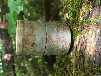 IMG_7905.jpeg