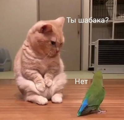 3 Ёёё маё.jpg
