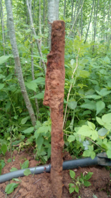 IMG-20200621-WA0000.jpeg