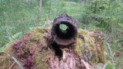 IMG-20200621-WA0005.jpeg