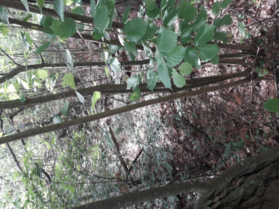 20200704_100005.jpg