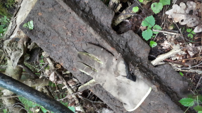 20200704_145150.jpg