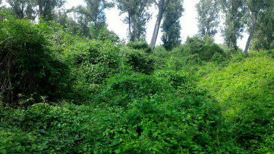 P_20200708_154259.jpg
