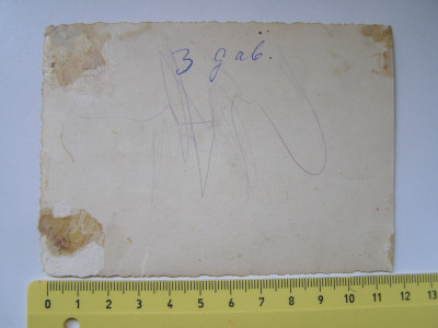 P1017503.JPG