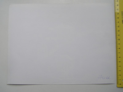 P1017531.JPG