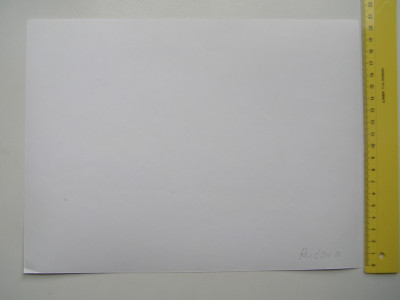 P1017535.JPG