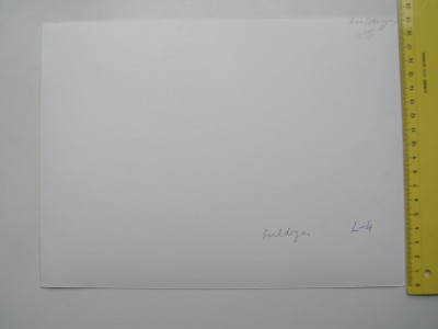 P1017537.JPG