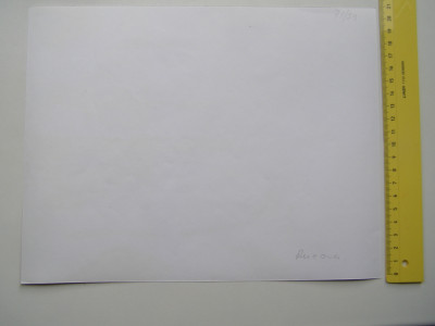 P1017539.JPG