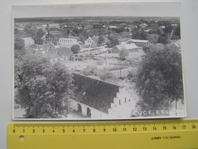 P1017540.JPG