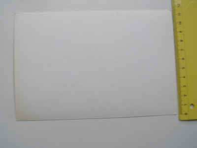 P1017541.JPG