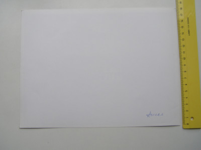 P1017543.JPG