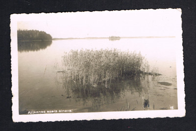 CCI16072020.jpg
