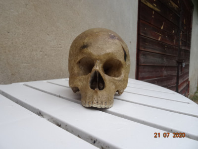 DSC04050.JPG