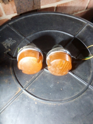 IMG_20200311_201102.jpg