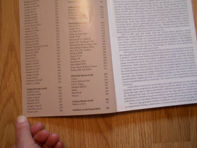 DSCN6935.JPG