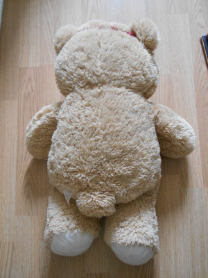 DSCN6919.JPG