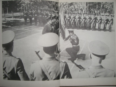 CIMG8145.JPG