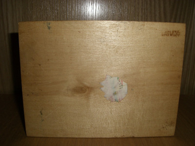 CIMG8333.JPG
