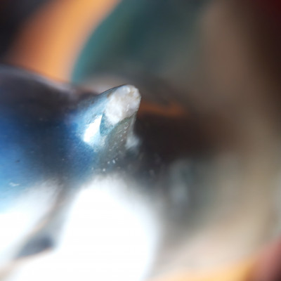 20200725_110900.jpg