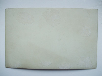 DSCF8232.JPG