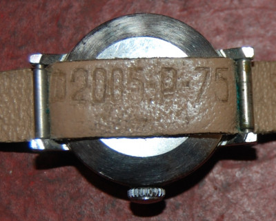 DSC_8305.JPG