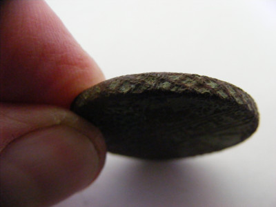 DSCF5108.JPG