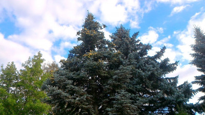 P_20200730_071420_LL.jpg