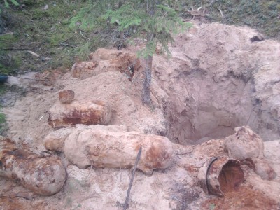 Fotoattēls0319.jpg
